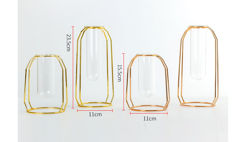 Minimalist Glass Hydroponic Metal Vase with Stand