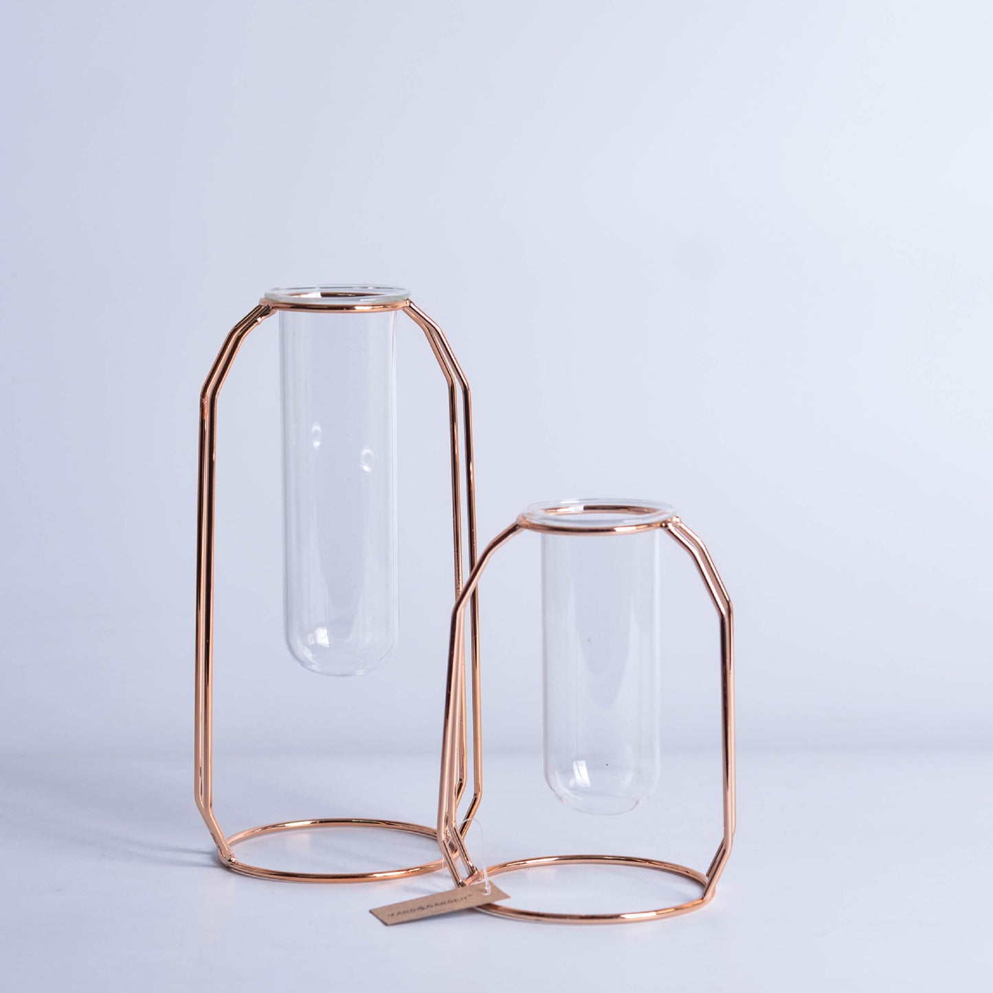 Minimalist Glass Hydroponic Metal Vase with Stand