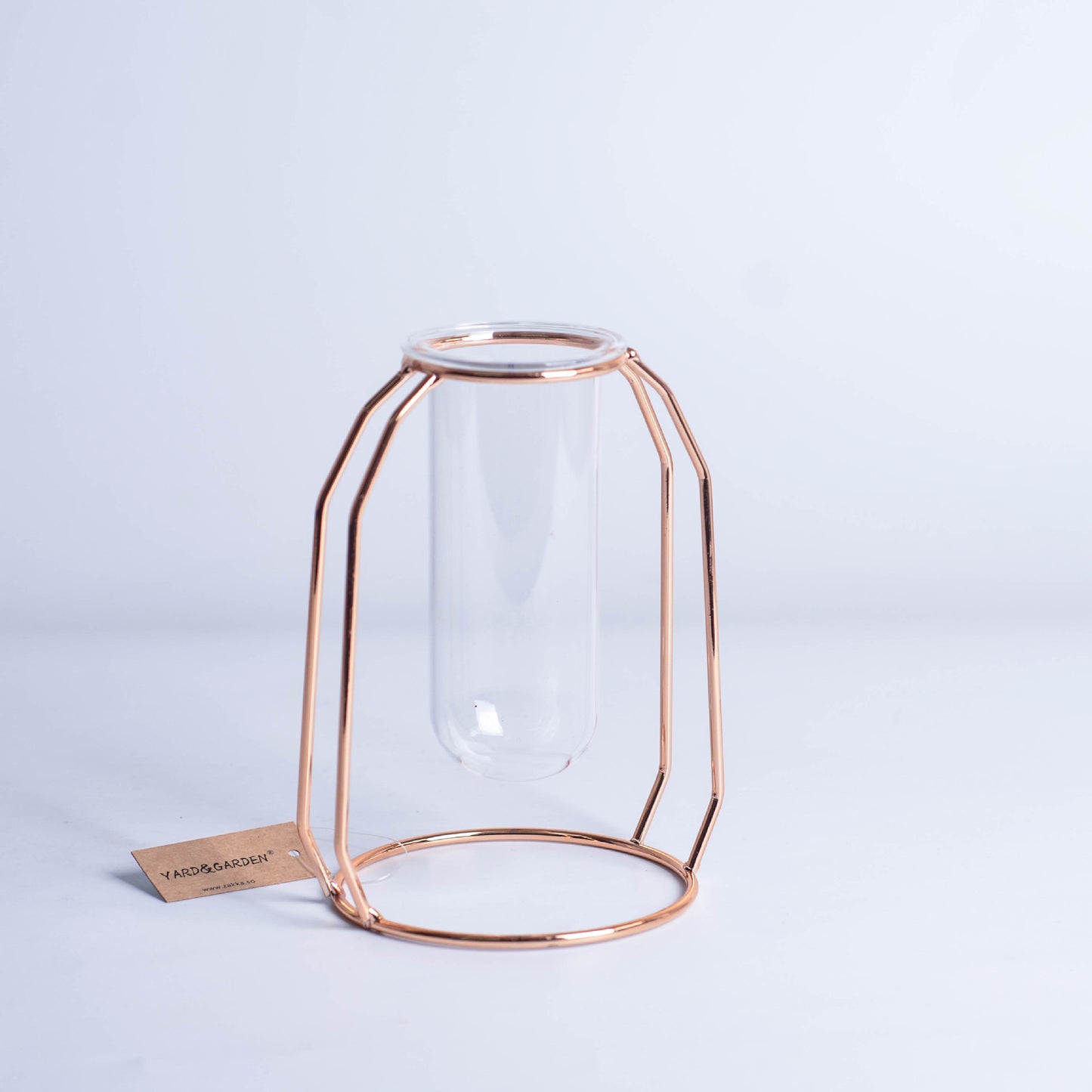 Minimalist Glass Hydroponic Metal Vase with Stand
