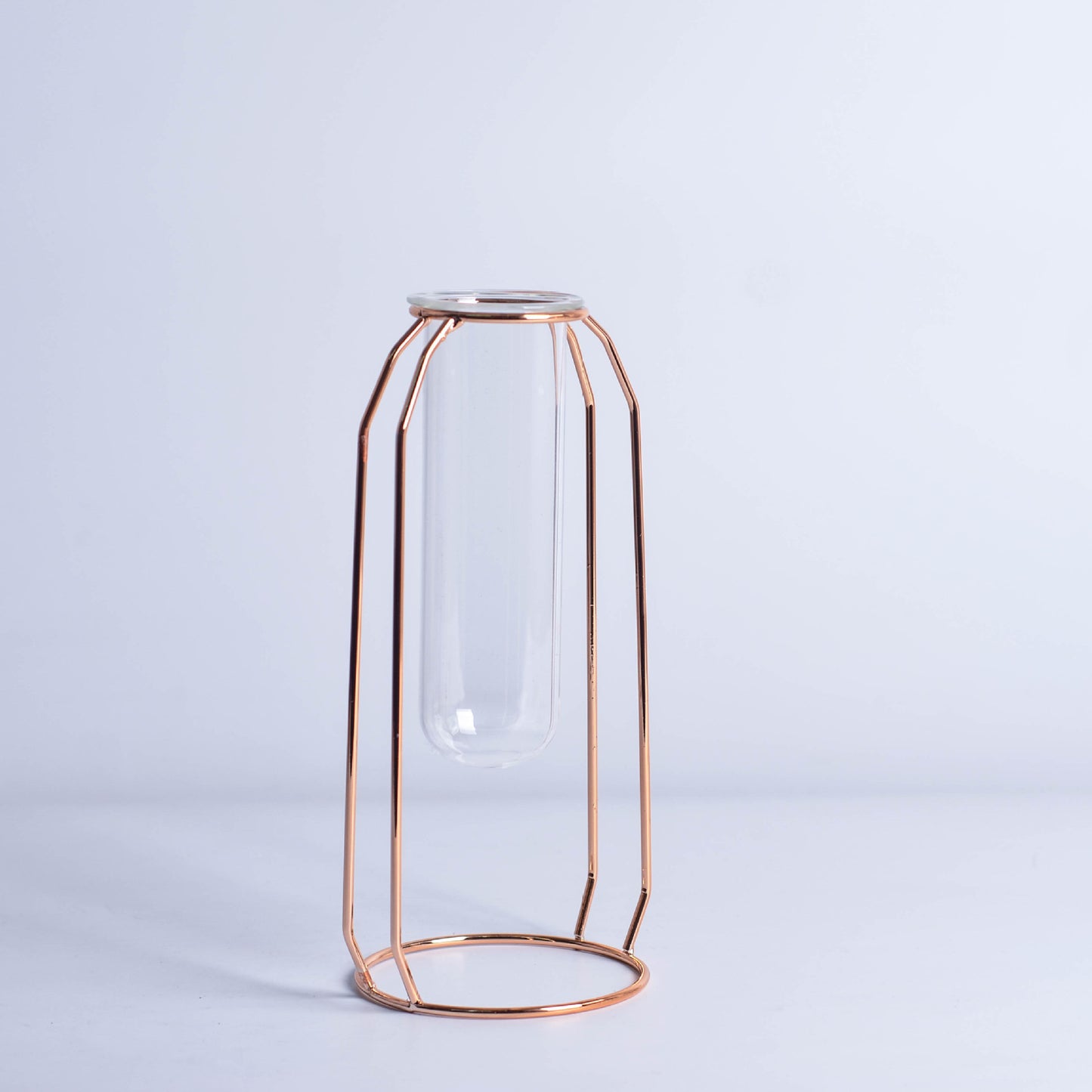 Minimalist Glass Hydroponic Metal Vase with Stand