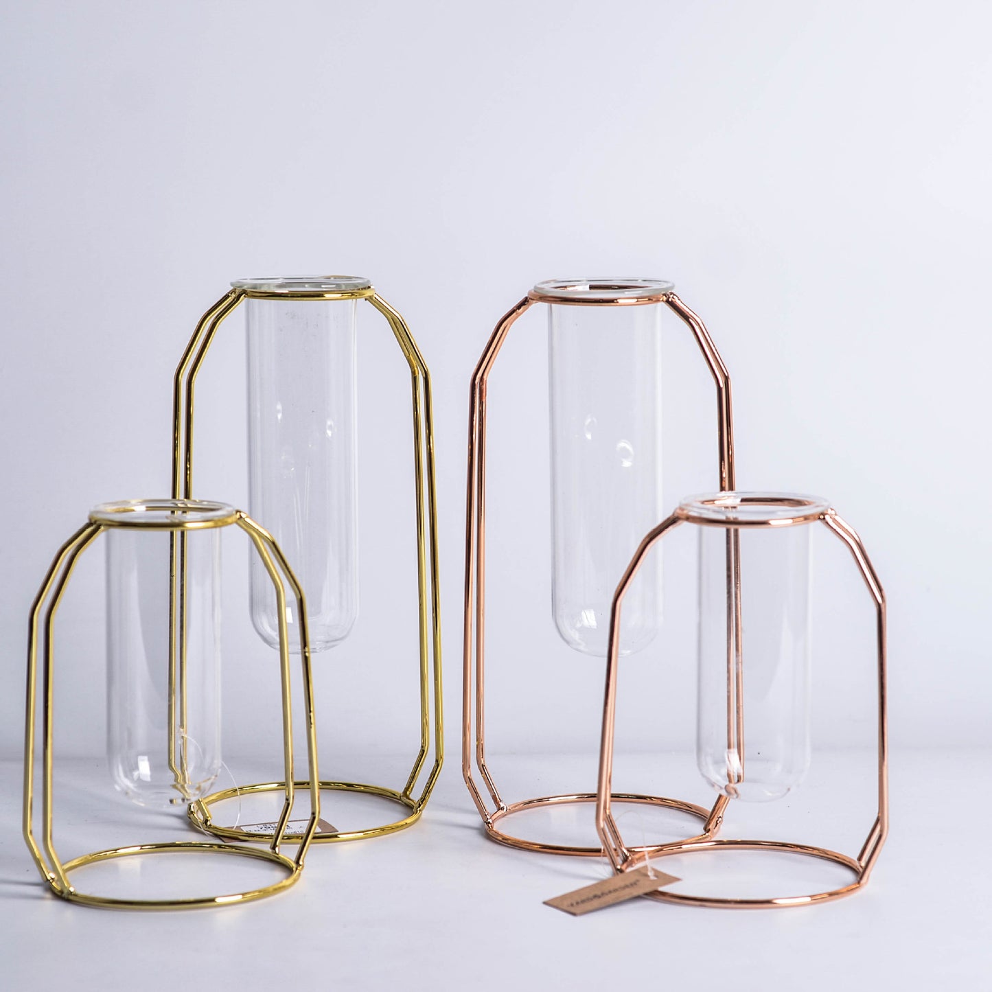 Minimalist Glass Hydroponic Metal Vase with Stand