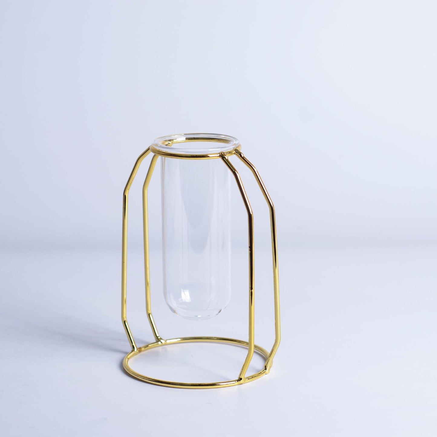 Minimalist Glass Hydroponic Metal Vase with Stand