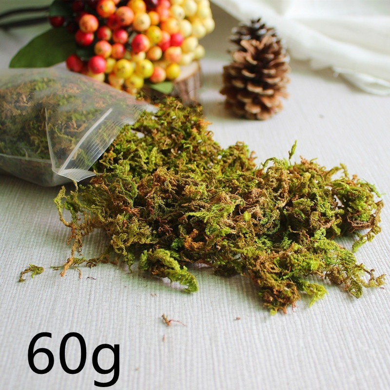 Faux moss for pots / Bonsai base