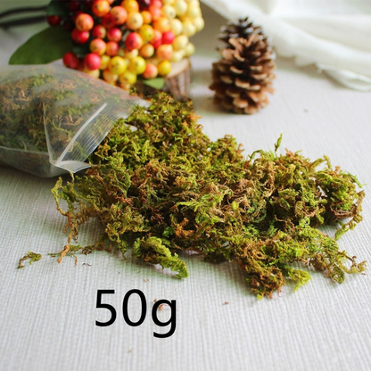 Faux moss for pots / Bonsai base