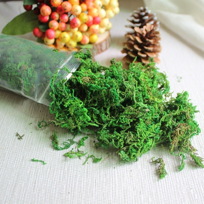Faux moss for pots / Bonsai base