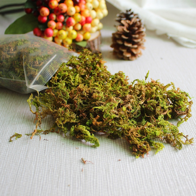 Faux moss for pots / Bonsai base