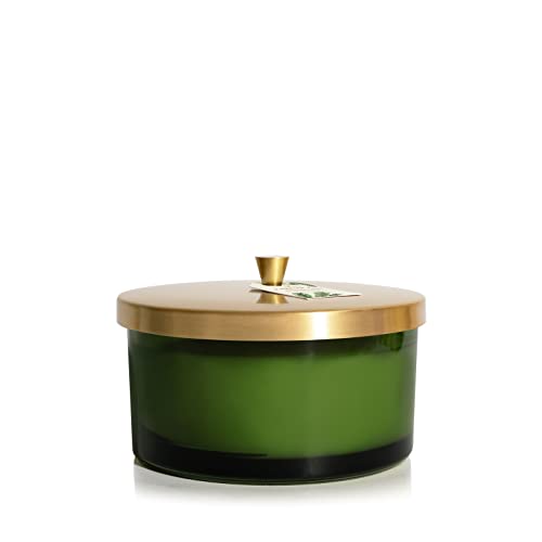 Green container with a gold lid on a white background