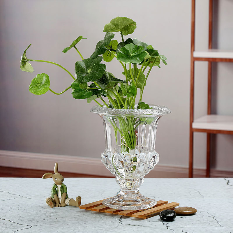 Small Transparent Glass Vase for Flower Arrangements